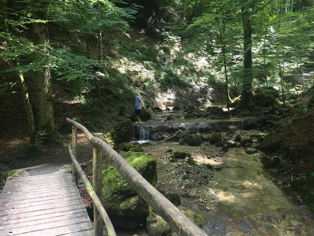 Bed And Breakfast Oase Im Seetal Gelfingen Экстерьер фото