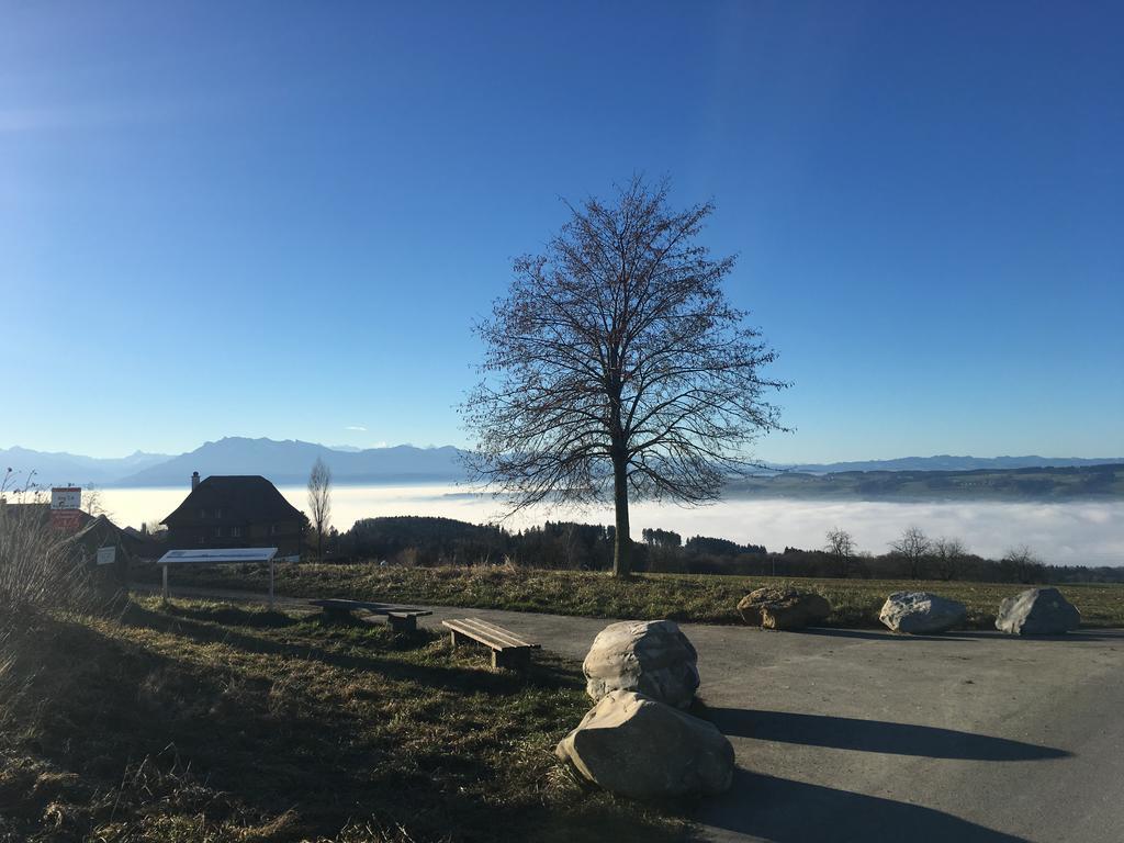 Bed And Breakfast Oase Im Seetal Gelfingen Экстерьер фото
